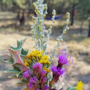 Meet your Posher, Jodi